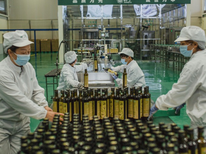 大家都知道，每一滴醇香的祥宇莊園橄欖油，都源自一顆顆小小的油橄欖果實。今天，就讓..